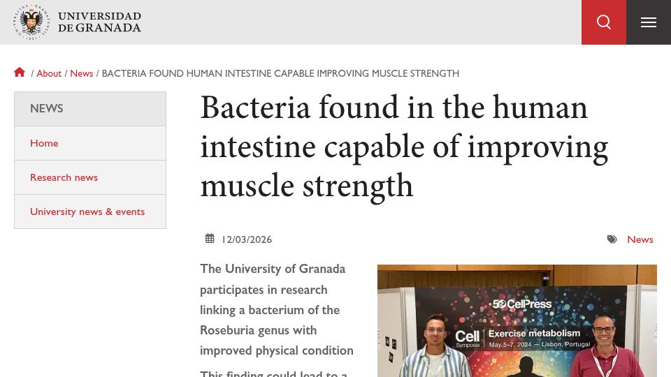 Screenshot of ugr.es: Bacteria found in the human intestine capable of improving muscle strength