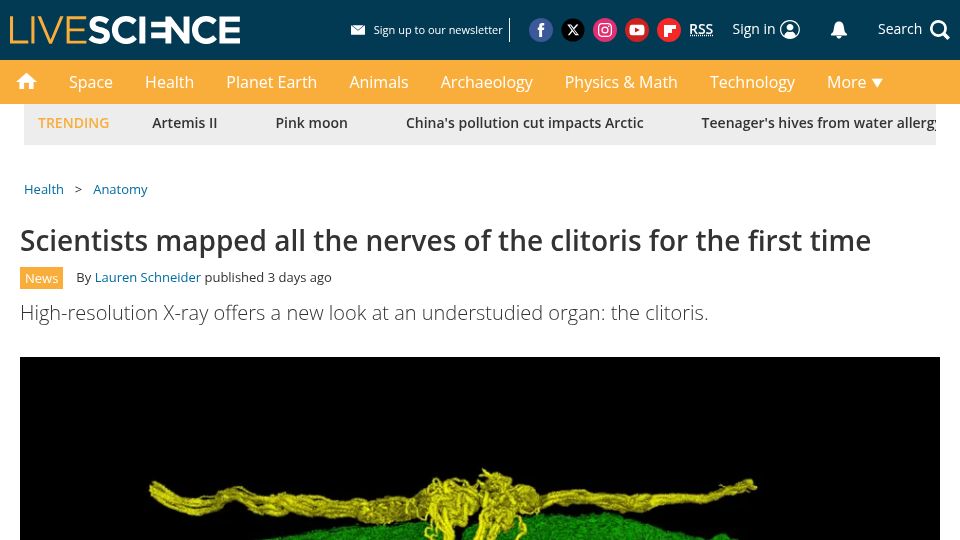 Screenshot of livescience.com: Scientists mapped all the nerves of the clitoris for the first time