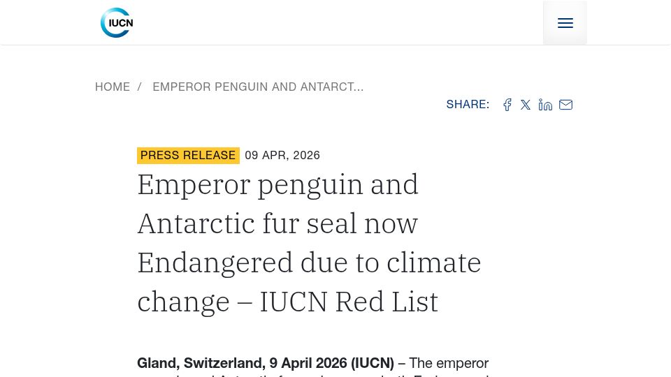 Screenshot of iucn.org: Emperor penguin and Antarctic fur seal now endangered