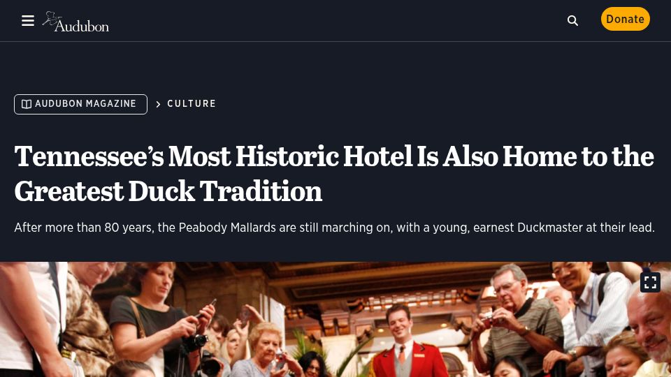 Screenshot of audubon.org: Historic Tennessee hotel is also home to the greatest duck tradition (2016)