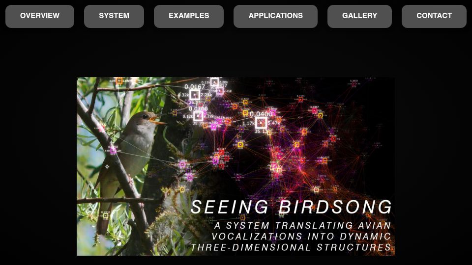 Screenshot of lucioarese.net: Seeing Birdsong