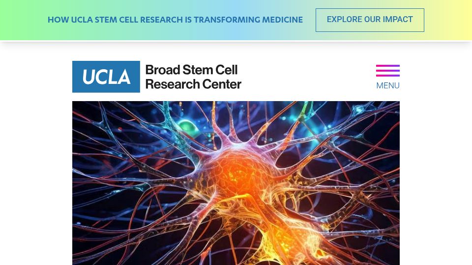 Screenshot of stemcell.ucla.edu: UCLA discovers first stroke rehabilitation drug to repair brain damage (2025)