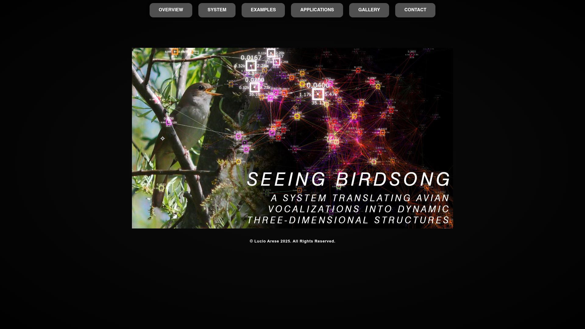 Screenshot of lucioarese.net: Seeing Birdsong