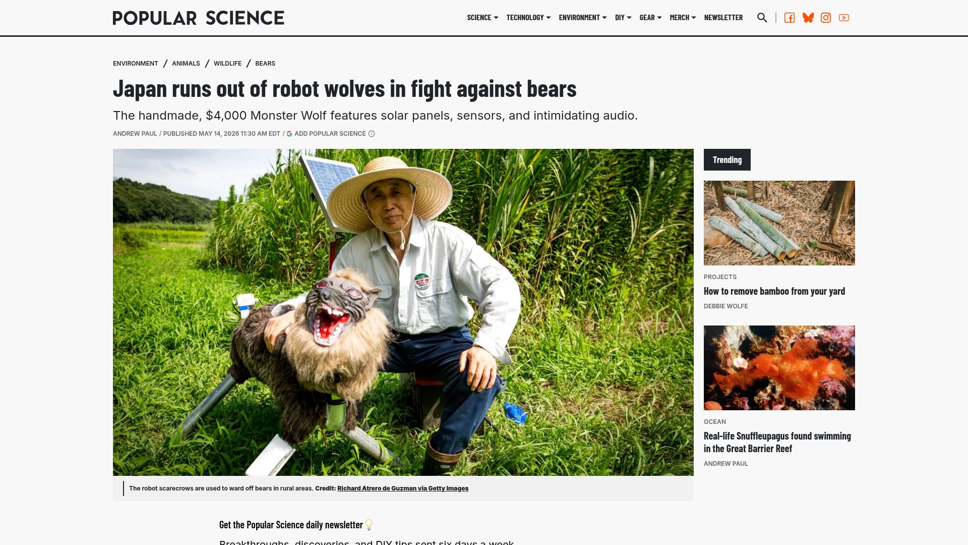 Screenshot of independent.co.uk: Japan’s robot wolf sells out as record bear attacks drive demand