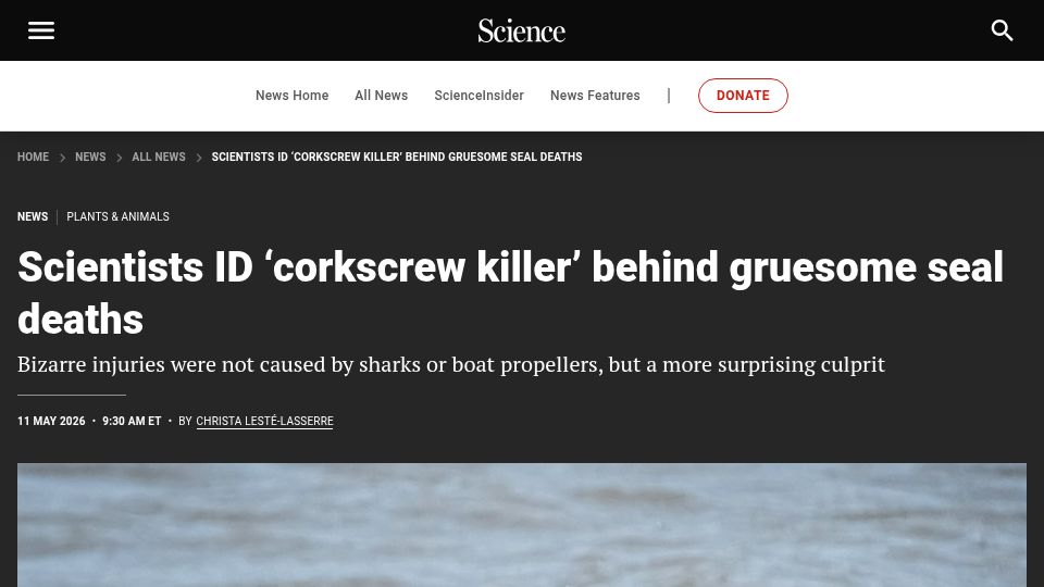 Screenshot of science.org: Cannibalistic attacks between gray seals leave telltale “corkscrew” injuries