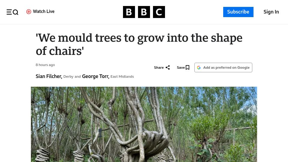 Screenshot of bbc.co.uk: 'We mould trees to grow into the shape of chairs'