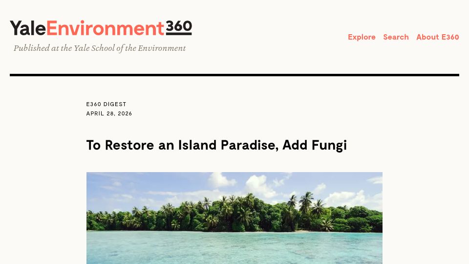 Screenshot of e360.yale.edu: To Restore an Island Paradise, Add Fungi