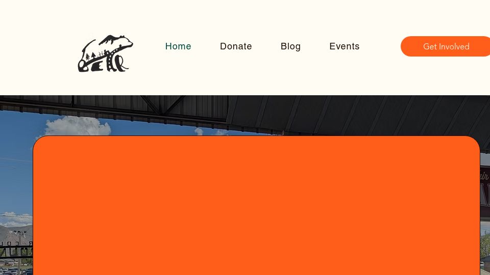 Screenshot of stopstratos.org: Why We've Filed a Referendum