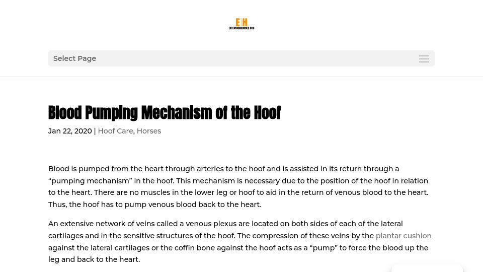 Screenshot of horses.extension.org: Blood Pumping Mechanism of the Hoof (2020)