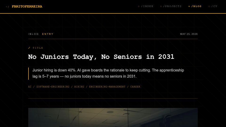 Screenshot of fbritoferreira.com: No Juniors Today, No Seniors in 2031