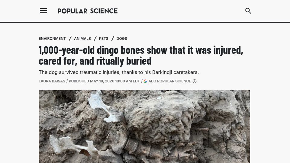 Screenshot of popsci.com: 1k-year-old dingo bones show that it was injured, cared for, and ritually buried