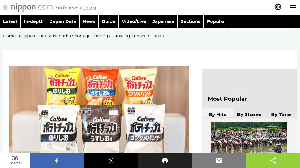 Screenshot of nippon.com: Naphtha shortages in Japan