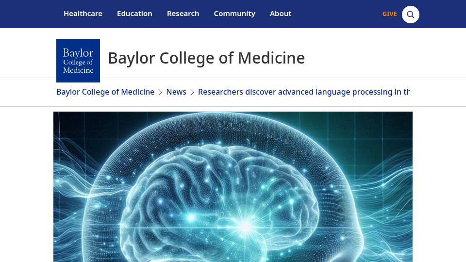 Screenshot of bcm.edu: Plasticity and language in the anaesthetized human hippocampus