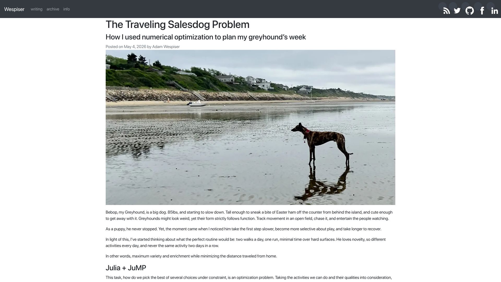 Screenshot of wespiser.com: The Traveling Salesdog Problem