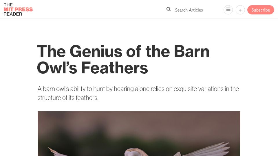Screenshot of thereader.mitpress.mit.edu: The Genius of the Barn Owl's Feathers