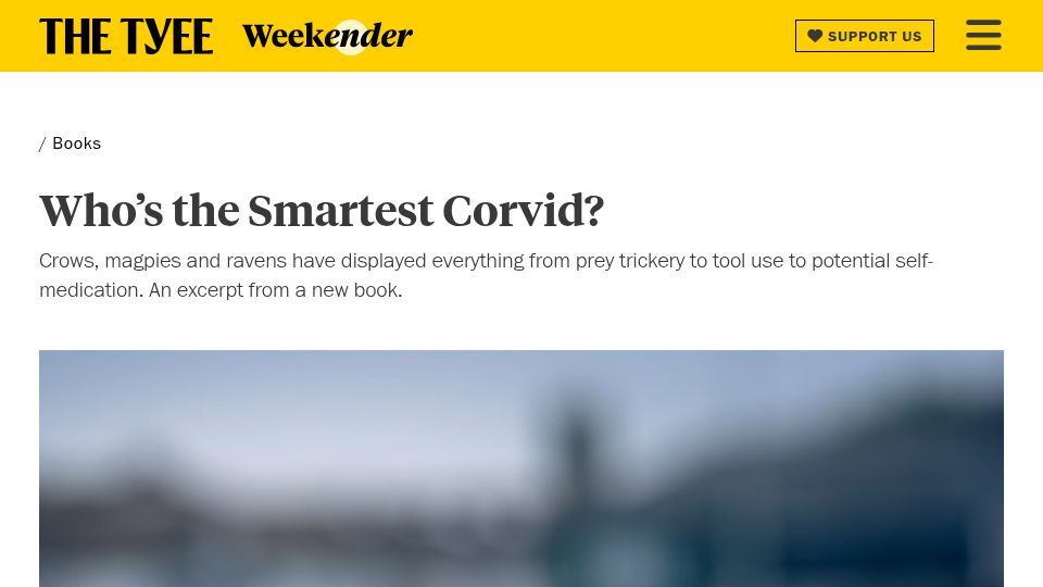 Screenshot of thetyee.ca: Who's the smartest corvid?