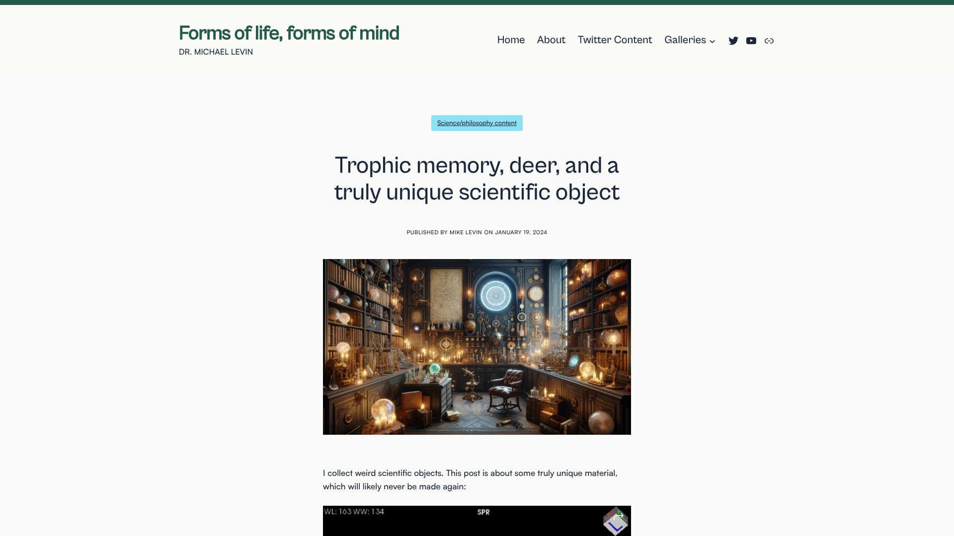 Screenshot of thoughtforms.life: Trophic memory, deer, and a unique scientific object