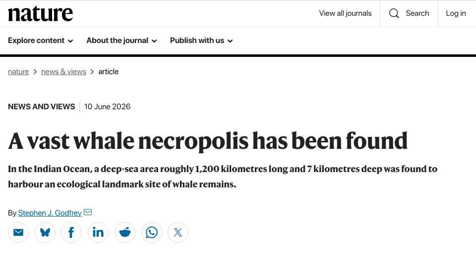 Screenshot of nature.com: A whale necropolis has been found