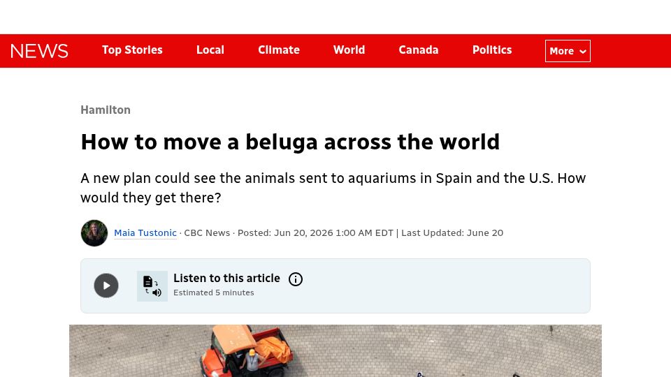 Screenshot of cbc.ca: How to move a beluga across the world