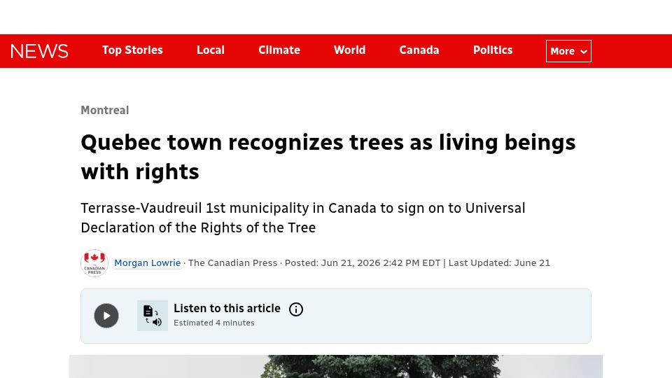 Screenshot of cbc.ca: Quebec town recognizes trees as living beings with rights