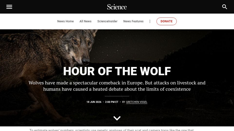 Screenshot of science.org: Wolves are reconquering Europe. Can people learn to live with them?