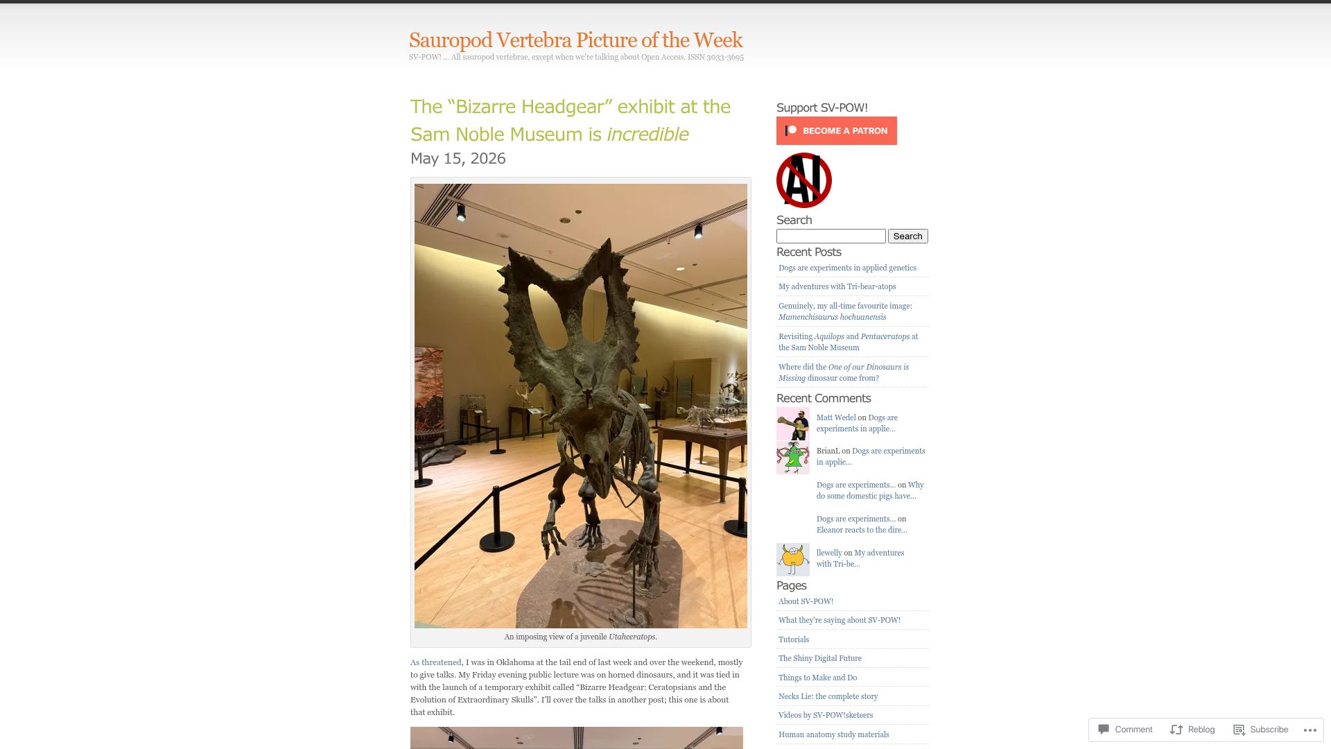 Screenshot of svpow.com: The "Bizarre Headgear" exhibit at the Sam Noble museum