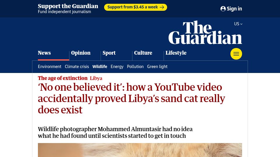 Screenshot of theguardian.com: How a YouTube video accidentally proved Libya's sand cat does exist