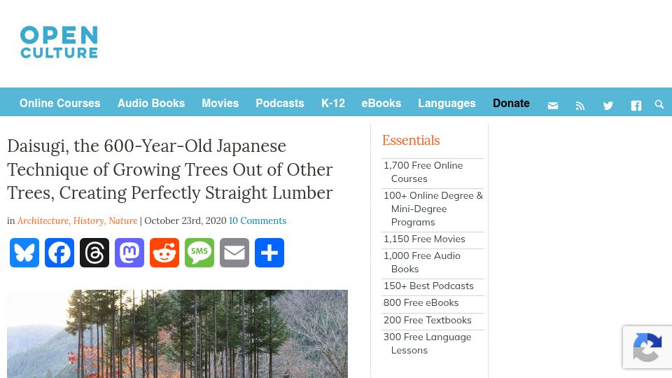 Screenshot of openculture.com: Daisugi, the Japanese technique of growing trees out of other trees (2020)