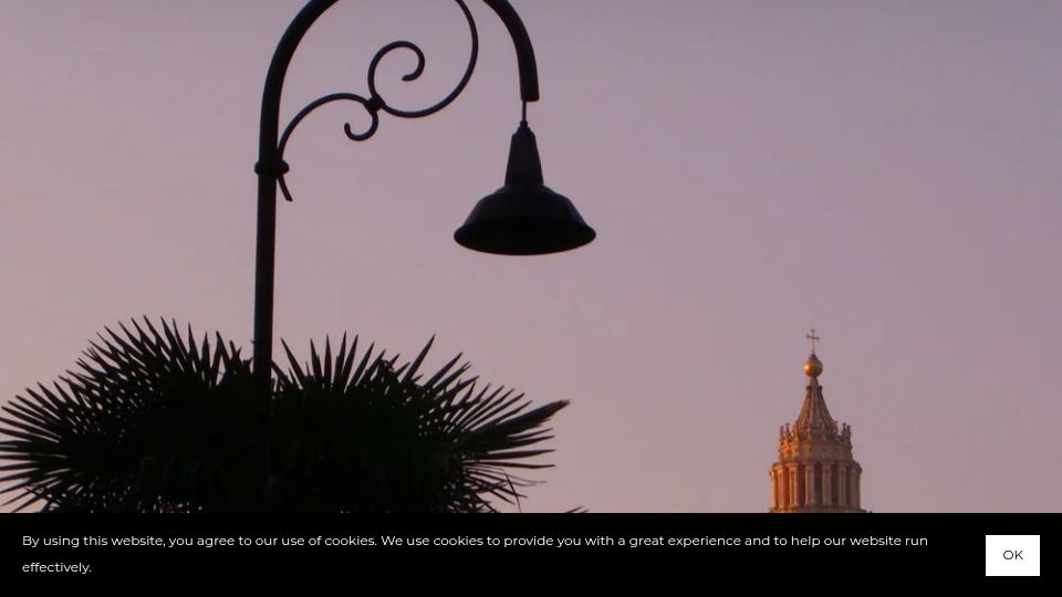 Screenshot of savingourstars.org: Dark Sky Lighting