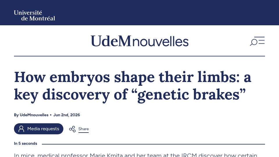 Screenshot of nouvelles.umontreal.ca: Embryos shape their limbs: a key discovery of "genetic brakes"