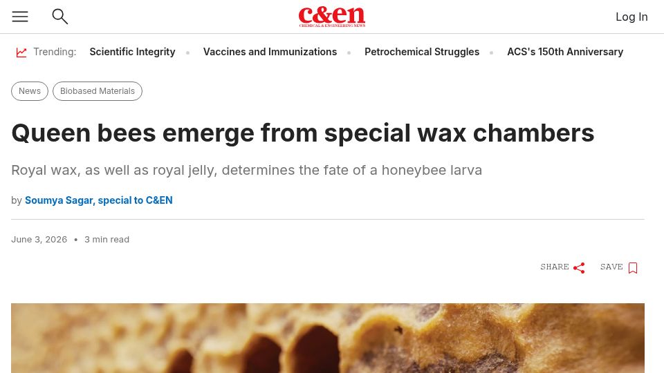 Screenshot of cen.acs.org: Queen bees emerge from special wax chambers