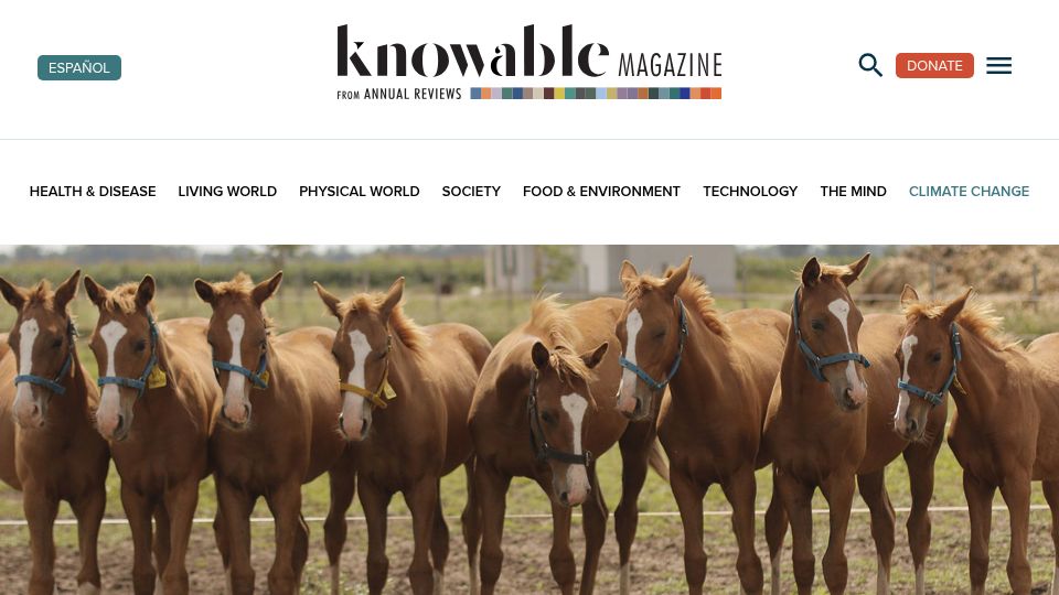 Screenshot of knowablemagazine.org: Field of clones: How horse replicas came to dominate polo
