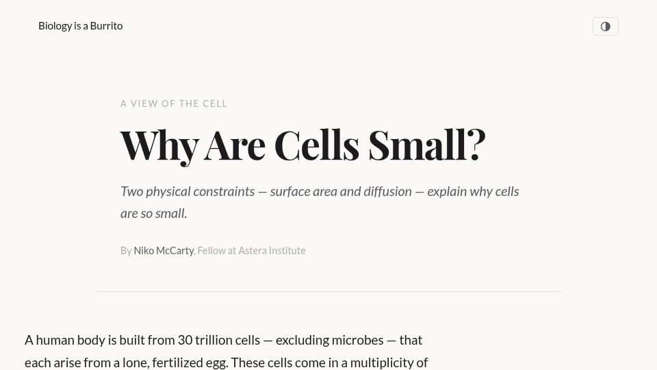 Screenshot of burrito.bio: Why are cells small?