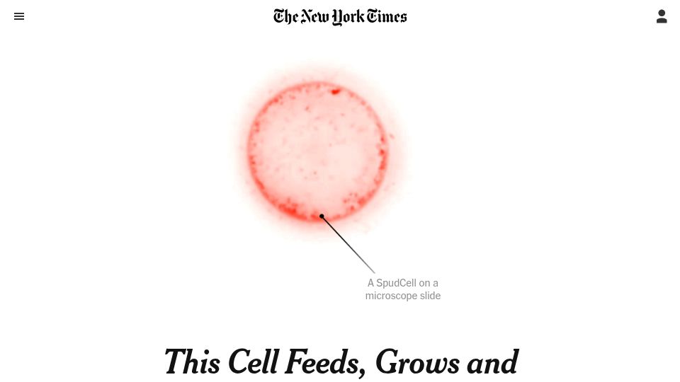 Screenshot of nytimes.com: This Cell Feeds, Grows and Reproduces. and It's Manmade