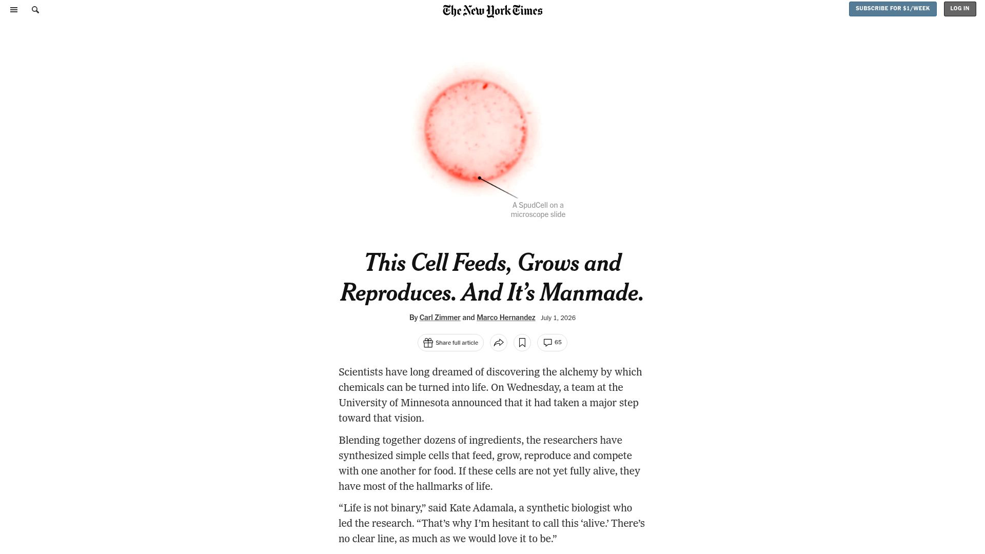 Screenshot of nytimes.com: This Cell Feeds, Grows and Reproduces. and It's Manmade