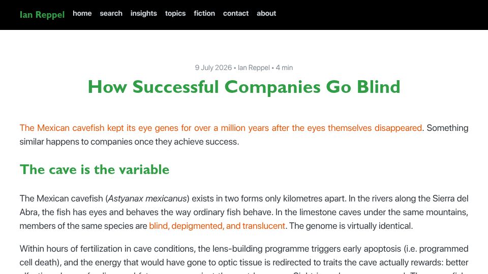 Screenshot of ianreppel.org: Successful companies go blind
