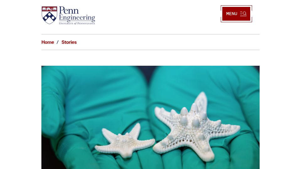Screenshot of engineering.upenn.edu: How sea stars build materials that can see