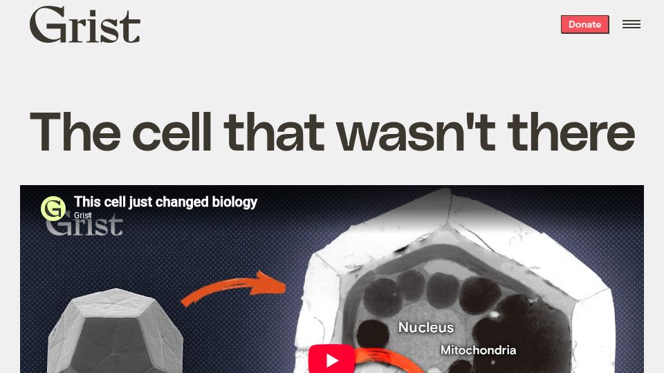 Screenshot of grist.org: A tiny cell that broke a big rule of biology