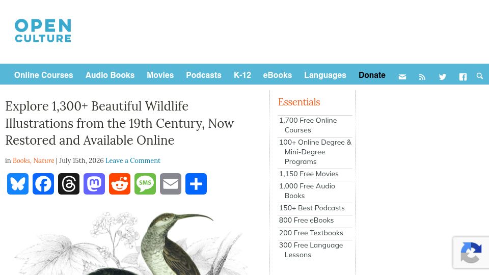 Screenshot of openculture.com: 1,300 Beautiful Wildlife Illustrations from the 19th Century Now Restored