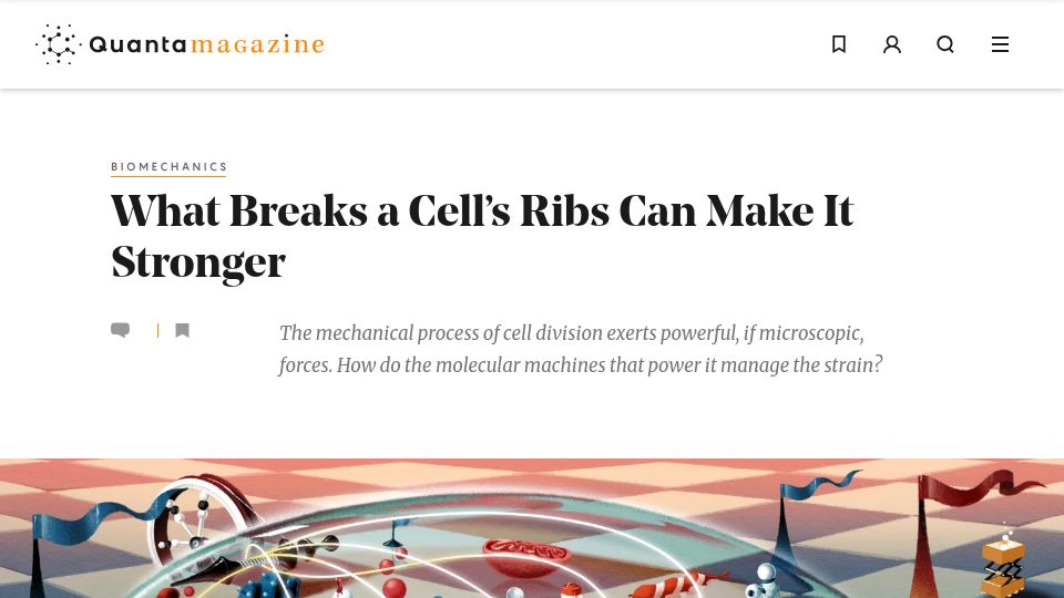 Screenshot of quantamagazine.org: What Breaks a Cell's Ribs Can Make It Stronger