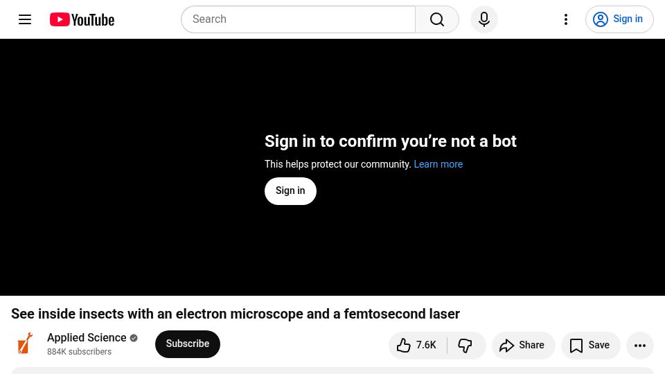 Screenshot of youtube.com: Cross sectioning insects in an electron microscope with a femtosecond laser [video]