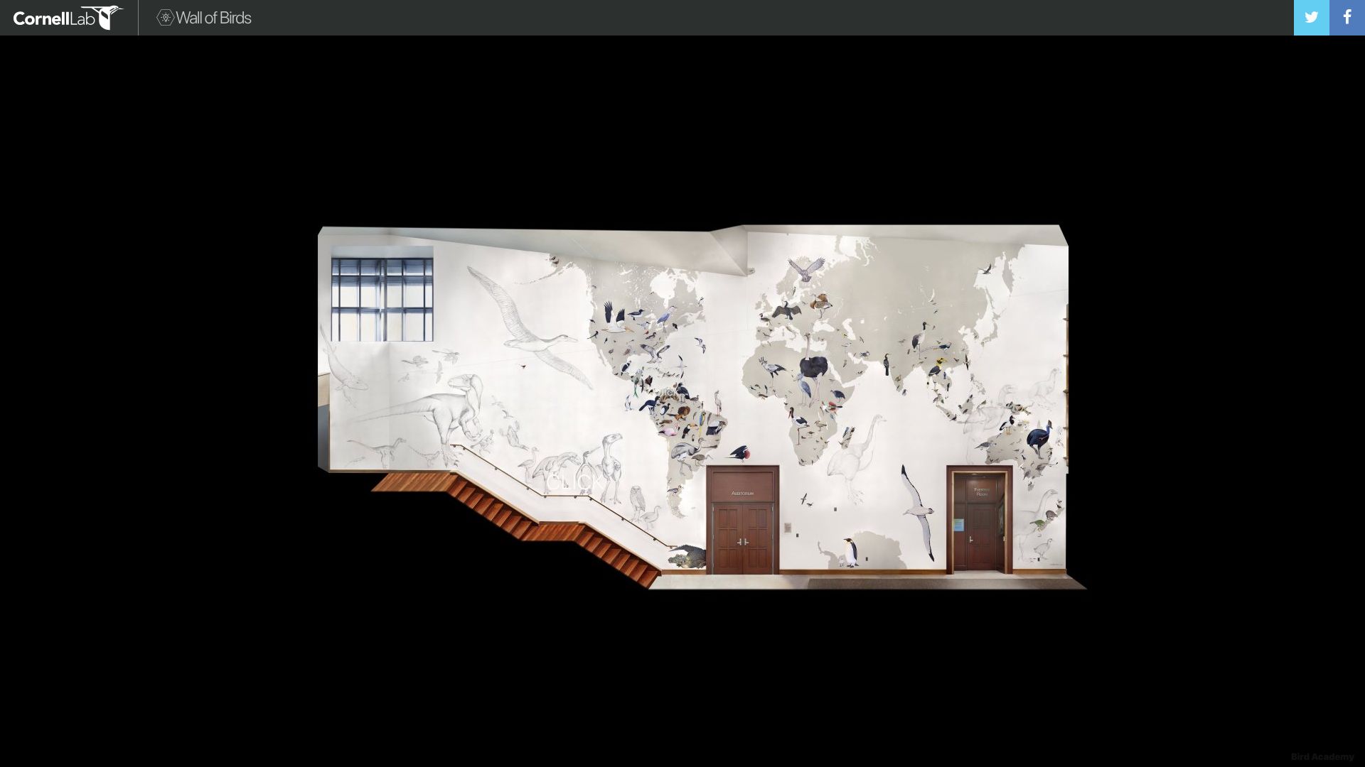 Screenshot of academy.allaboutbirds.org: Cornell's Interactive Wall of Birds