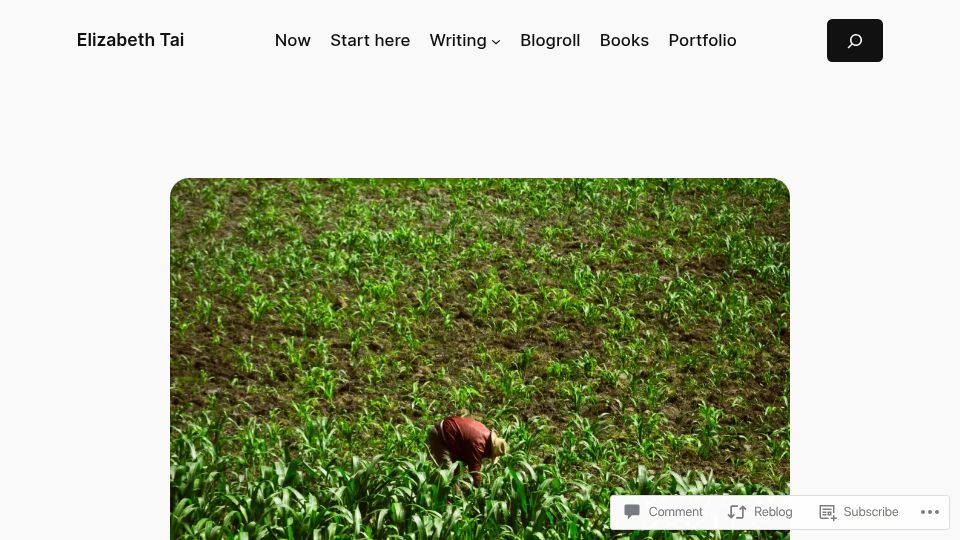 Screenshot of elizabethtai.com: Substack writers, you need a website