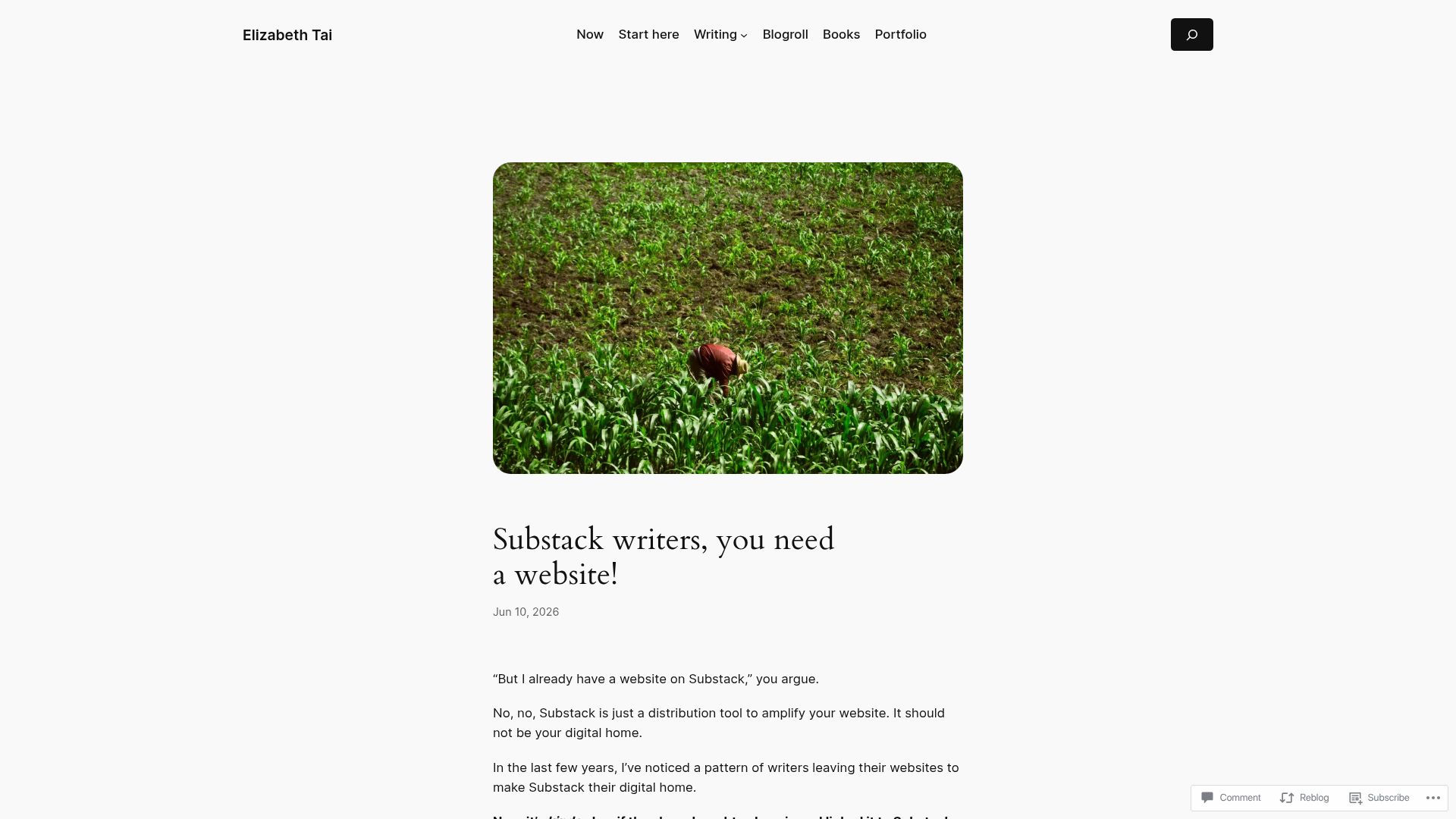 Screenshot of elizabethtai.com: Substack writers, you need a website