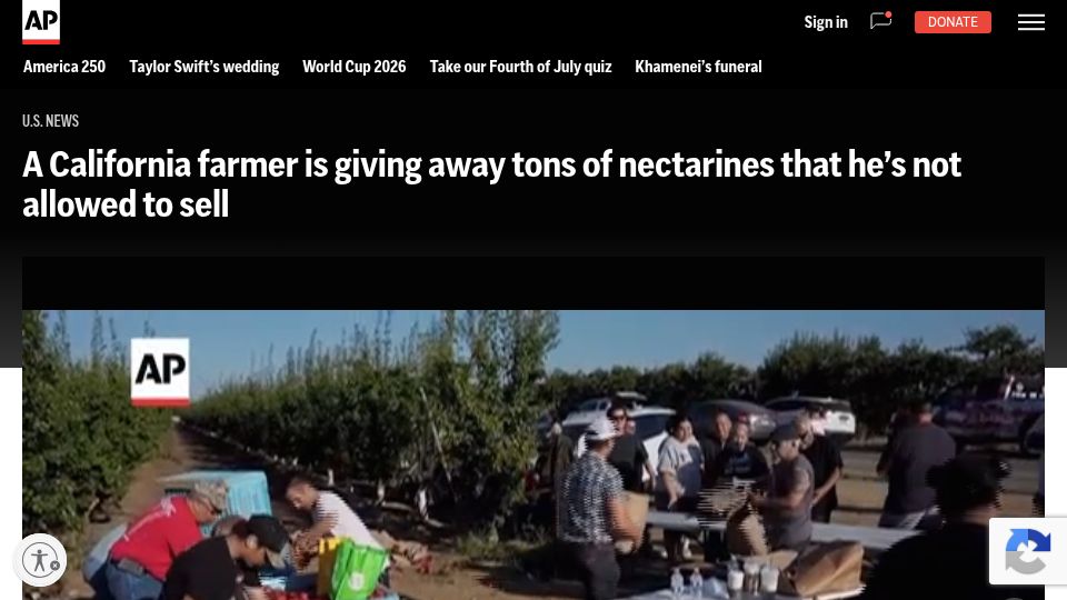 Screenshot of apnews.com: Farmer, marketer at odds over sales of white nectarines