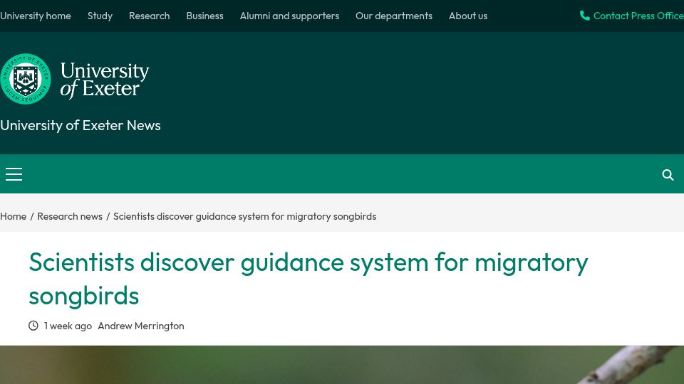 Screenshot of news.exeter.ac.uk: Scientists discover guidance system for migratory songbirds
