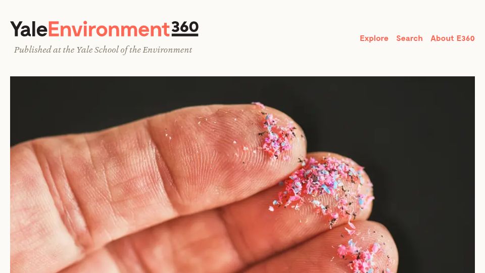 Screenshot of e360.yale.edu: What Do We Know About the Microplastics Inside Us?