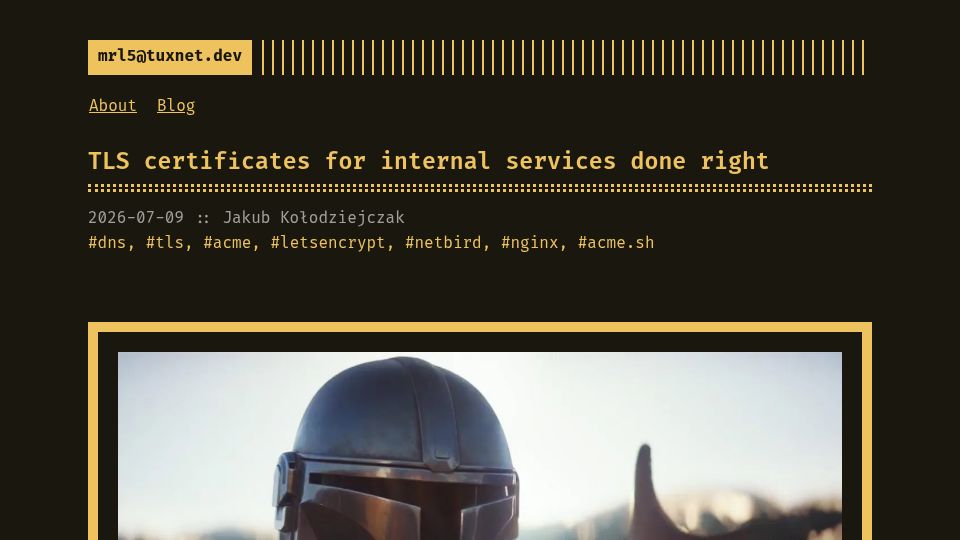 Screenshot of tuxnet.dev: TLS certificates for internal services done right