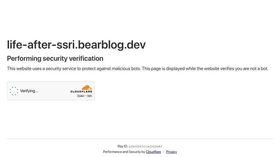 Screenshot of life-after-ssri.bearblog.dev: Dear people who work at the airport