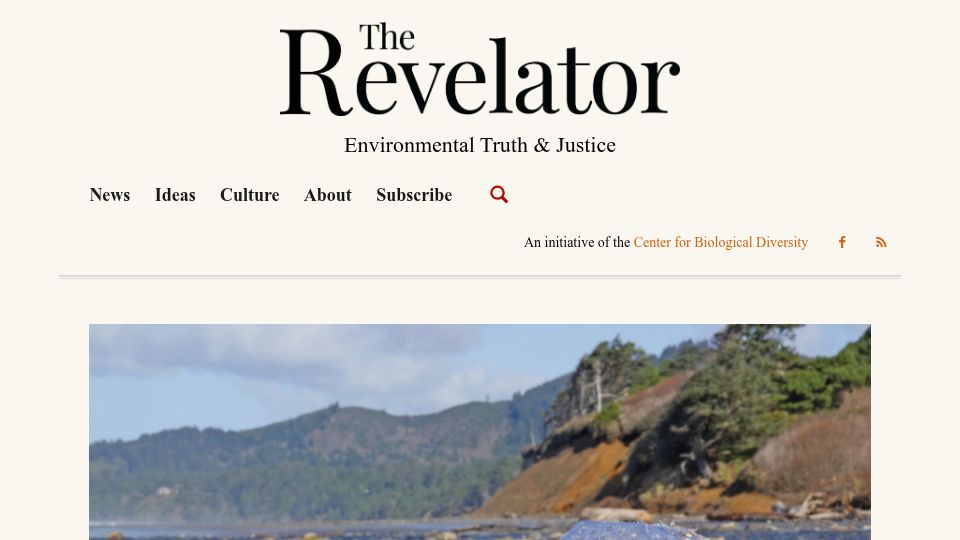 Screenshot of therevelator.org: Why the Ocean Cleanup hasn't solved the plastic pollution crisis